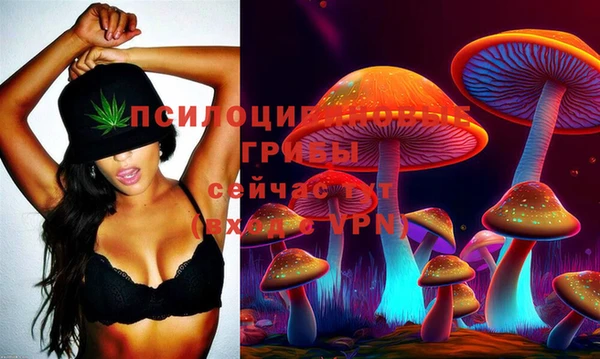 apvp Осинники
