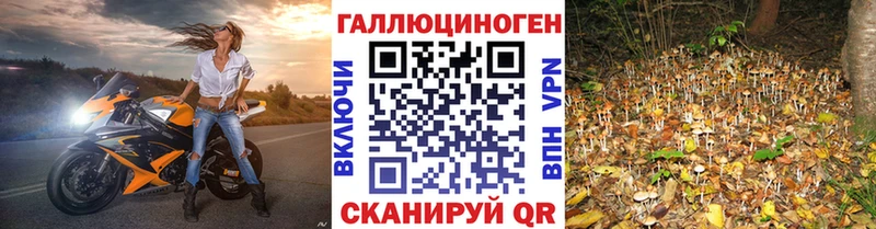 Псилоцибиновые грибы Magic Shrooms  Перевоз 